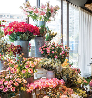 蝦餃妹品牌介紹